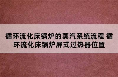 循环流化床锅炉的蒸汽系统流程 循环流化床锅炉屏式过热器位置